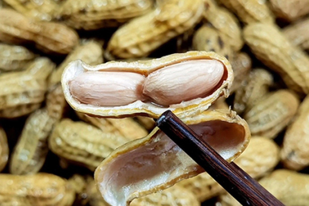 Luộc lạc chỉ cho muối chưa đủ, làm cách này lạc sẽ ngọt mềm ...