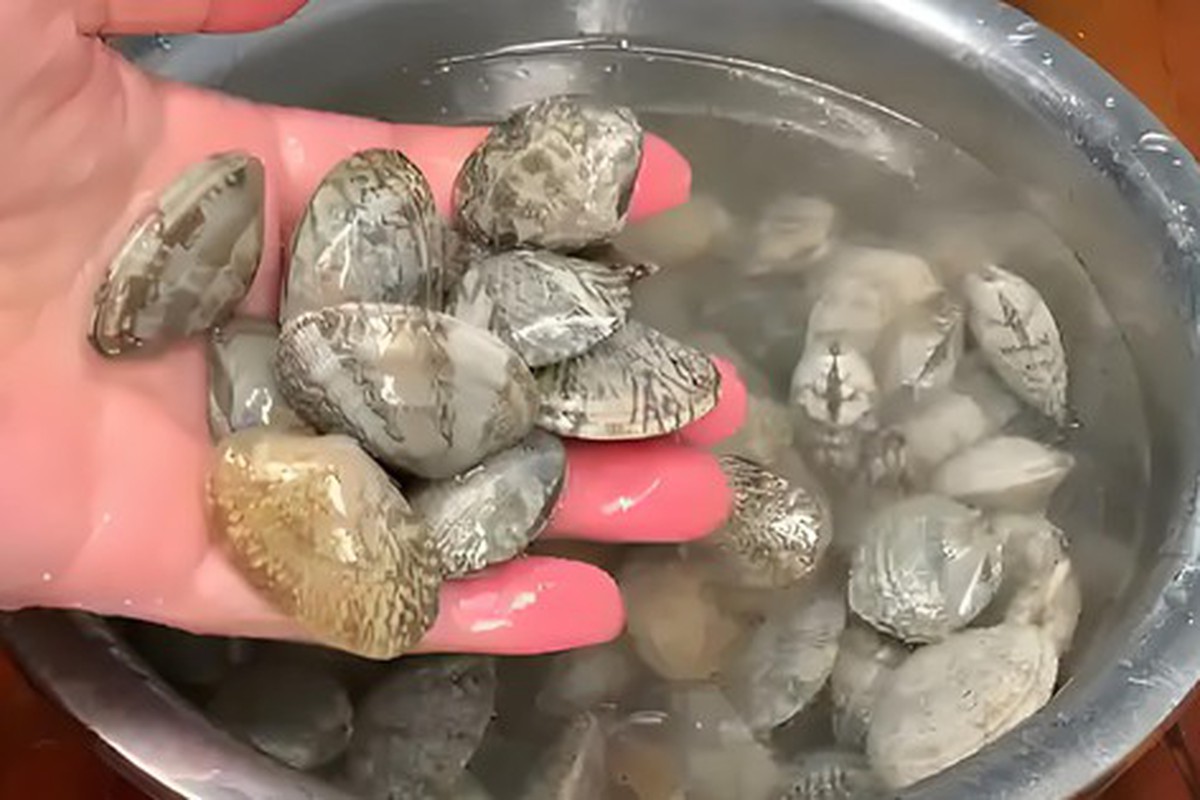 Dùng dầu ăn và muối để ngâm ngao là sai lầm: Một ngư dân chỉ mẹo giúp ngao  nhả cát ra nhanh chóng và sạch sẽ