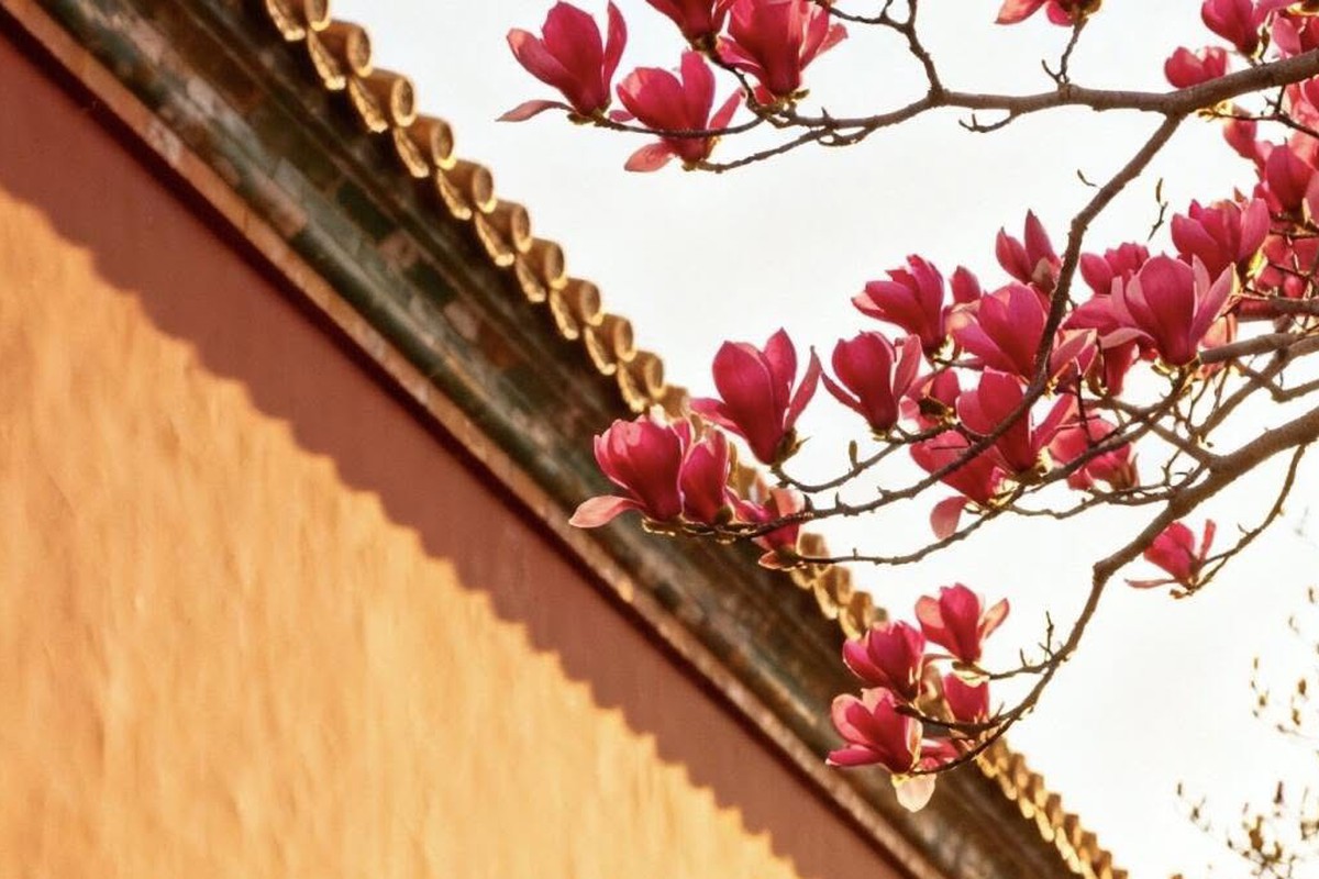 Giờ sinh Âm lịch của người tốt tính, đi đâu cũng được yêu quý