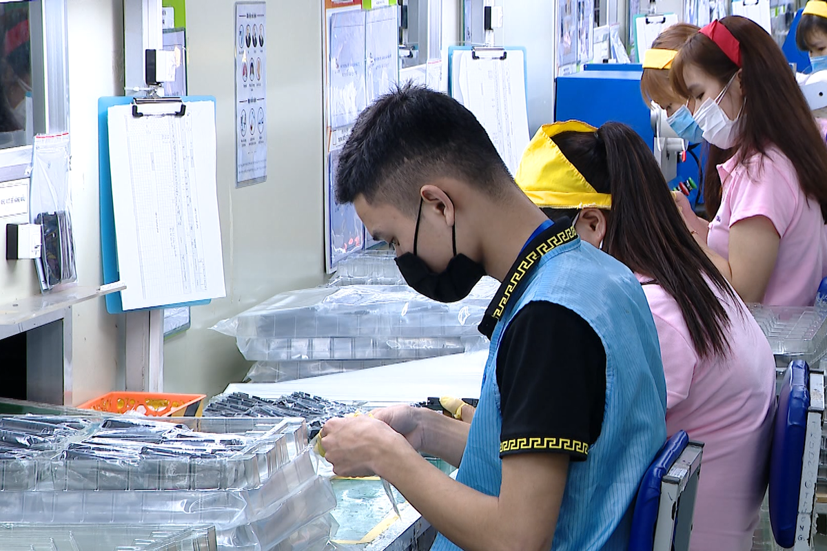 Triển vọng cho người lao động đi làm việc ở nước ngoài năm 2026