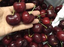 Người phụ nữ ngộ độc nặng sau khi ăn cherry, chuyên gia khuyến cáo lưu ý đặc biệt khi ăn rất hay bị bỏ qua