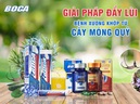 Viên sủi Boca - Hội tụ tinh hoa thảo dược và công nghệ hiện đại