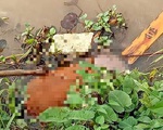 Phát hiện thi thể trôi dạt vào bờ chưa có người thân đến nhận diện