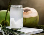 Kết quả bất ngờ khi soi nước dừa dưới kính hiển vi và &quot;thời điểm vàng&quot; uống nước dừa trong ngày giúp phụ nữ “hồi xuân”, bất chấp hết bệnh tật