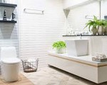 Bất ngờ với cách nhìn vào toilet biết chủ nhà đang hạnh phúc, hay khổ đau