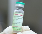 Gửi mẫu sang Canada đánh giá tính sinh miễn dịch của vaccine Covivac 'made in Vietnam'