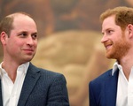 Tín hiệu đáng mừng trong mối quan hệ giữa Hoàng tử William và Harry