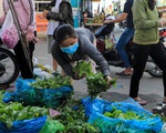 Rau tại chợ TP.HCM tăng giá mạnh, rau ở vườn ế ẩm