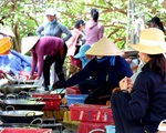 Người dân miền biển Thừa Thiên Huế làm xuyên trưa, chế biến hàng tấn cá gửi vào TP.HCM