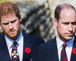 Lời nói lỡ miệng trong quá khứ của Hoàng tử William với em trai Harry: Câu chuyện có liên quan đến Meghan Markle