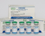Giai đoạn 1 thử nghiệm, vaccine Covivac an toàn, dung nạp tốt, có tính sinh miễn dịch