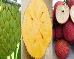 5 loại trái cây không hạt "làm mưa làm gió" trên thị trường