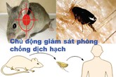 35 loại bệnh nguy hiểm đến từ chuột 35 loại bệnh nguy hiểm đến từ chuột