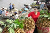 Ba tỉnh miền Tây liên kết phát triển du lịch Ba tỉnh miền Tây liên kết phát triển du lịch