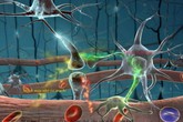 Đau do biến chứng thần kinh đái tháo đường Đau do biến chứng thần kinh đái tháo đường