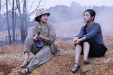 Phim đặt hàng không doanh thu, lấy ai để truy cứu trách nhiệm? Phim đặt hàng không doanh thu, lấy ai để truy cứu trách nhiệm?