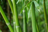 Bí quyết phong thủy đơn giản để cải tạo vận mệnh Bí quyết phong thủy đơn giản để cải tạo vận mệnh