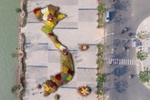 Ngắm bản đồ Việt Nam bằng hoa bên sông Hàn Ngắm bản đồ Việt Nam bằng hoa bên sông Hàn