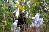 Bé trai 3 tuổi bị đốt xác trước khi thả trôi sông Bé trai 3 tuổi bị đốt xác trước khi thả trôi sông