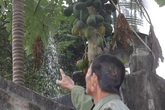 Ám ảnh chuyện người sống ở chung với người chết Ám ảnh chuyện người sống ở chung với người chết
