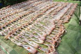 Quy trình đưa “vũ nữ chân dài” miền Tây lên bàn nhậu Quy trình đưa “vũ nữ chân dài” miền Tây lên bàn nhậu