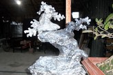 Chơi bonsai đá giá hàng chục triệu đồng Chơi bonsai đá giá hàng chục triệu đồng