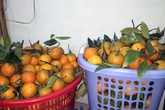 Gái công sở liều vay tiền tỷ buôn đồ Tết Gái công sở liều vay tiền tỷ buôn đồ Tết