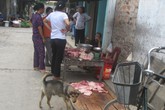 Có hẳn một quy định "rọ mõm" bị... lãng quên! Có hẳn một quy định "rọ mõm" bị... lãng quên!