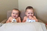Mẹ đuổi con ong, 2 con sinh đôi chết thảm Mẹ đuổi con ong, 2 con sinh đôi chết thảm