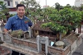 Chi tiền tỷ dựng Kinh thành Huế ngay trong vườn Chi tiền tỷ dựng Kinh thành Huế ngay trong vườn