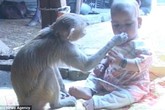 Hình ảnh bé gái và "bảo mẫu" khỉ cực đáng yêu khiến dư luận phát "sốt" Hình ảnh bé gái và "bảo mẫu" khỉ cực đáng yêu khiến dư luận phát "sốt"