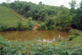 Bố lặn vớt thi thể con gái đuối nước dưới ao Bố lặn vớt thi thể con gái đuối nước dưới ao