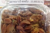 Bào ngư 15 triệu đồng/kg ở Phú Quốc Bào ngư 15 triệu đồng/kg ở Phú Quốc