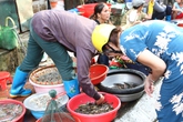 Những món không nên ăn khi ho Những món không nên ăn khi ho