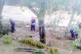 Khắc phục hậu quả bão số 1: Chính phủ yêu cầu không để đồng bào vùng lũ đói, khát Khắc phục hậu quả bão số 1: Chính phủ yêu cầu không để đồng bào vùng lũ đói, khát