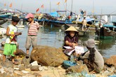 Hỗ trợ tận tình, chăm lo chu đáo Hỗ trợ tận tình, chăm lo chu đáo