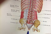 Tai nạn chốn phòng the: Kinh hoàng đêm tái hôn Tai nạn chốn phòng the: Kinh hoàng đêm tái hôn