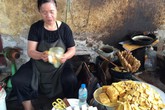 Dễ mang bệnh vì dùng dầu thực vật sai cách Dễ mang bệnh vì dùng dầu thực vật sai cách
