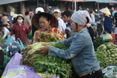 Người già ăn nhiều rau để sống lâu Người già ăn nhiều rau để sống lâu
