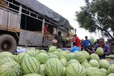 Buôn bán cả lòng trắc ẩn Buôn bán cả lòng trắc ẩn