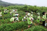 “Qua vụ thảm sát ở Bình Phước, càng phải dạy trẻ kỹ năng sống” “Qua vụ thảm sát ở Bình Phước, càng phải dạy trẻ kỹ năng sống”