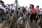 Trồng hơn 10.000 cây xanh bên di tích Đường Hồ Chí Minh trên biển Trồng hơn 10.000 cây xanh bên di tích Đường Hồ Chí Minh trên biển