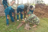 Nghệ An: Phát hiện quả rocket nằm sâu dưới lòng đất Nghệ An: Phát hiện quả rocket nằm sâu dưới lòng đất