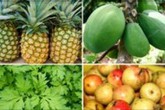10 loại thực phẩm dễ gây sảy thai cho mẹ bầu 10 loại thực phẩm dễ gây sảy thai cho mẹ bầu