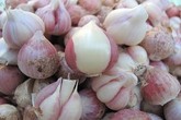 6 thực phẩm nên ăn nhiều giúp gan khỏe mạnh hơn 6 thực phẩm nên ăn nhiều giúp gan khỏe mạnh hơn