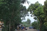 Dùng chĩa đâm con trai nguy kịch rồi uống thuốc sâu tự tử Dùng chĩa đâm con trai nguy kịch rồi uống thuốc sâu tự tử