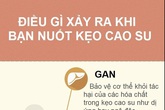 Điều gì xảy ra khi bạn nuốt kẹo cao su? Điều gì xảy ra khi bạn nuốt kẹo cao su?