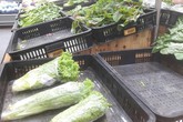 Người Sài Gòn phải dậy sớm đi chợ thì mới có rau xanh để ăn Người Sài Gòn phải dậy sớm đi chợ thì mới có rau xanh để ăn