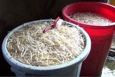 Rùng mình công nghệ sản xuất giá bằng thạch cao và hóa chất Rùng mình công nghệ sản xuất giá bằng thạch cao và hóa chất