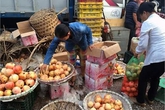 Ngàn tấn hoa quả TQ ai ăn hết? Ngàn tấn hoa quả TQ ai ăn hết?